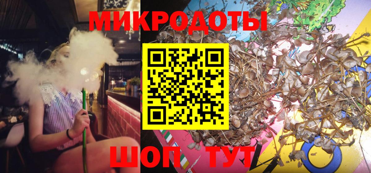 Тында  Псилоцибиновые грибы мухоморы  Вход с VPN  Галлюциногенные грибы Magic Shrooms 