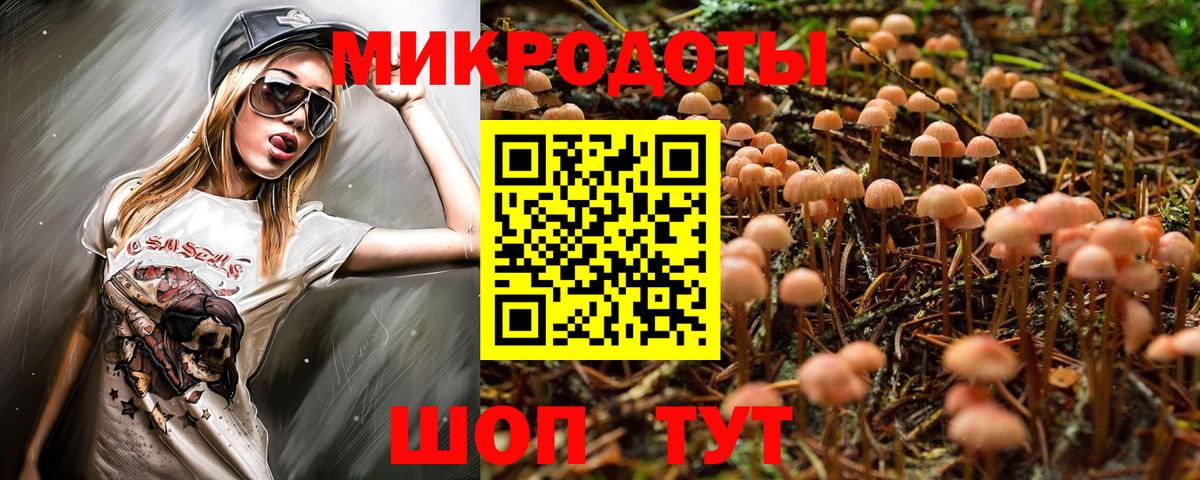 Псилоцибиновые грибы Psilocybe Тында